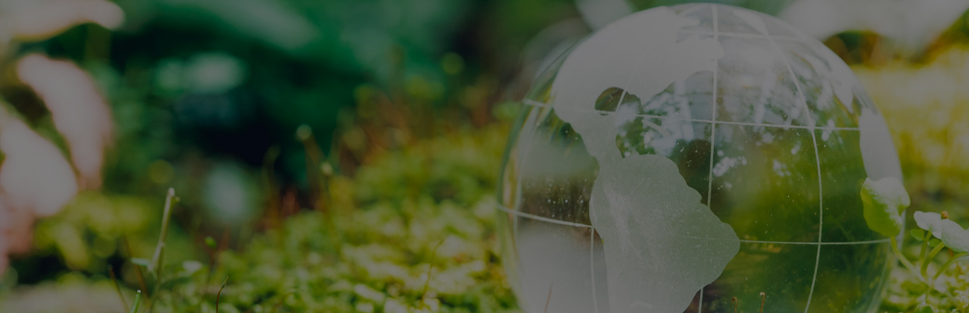 Safety,  Efficiency,  Environmental Protection, and Innovation